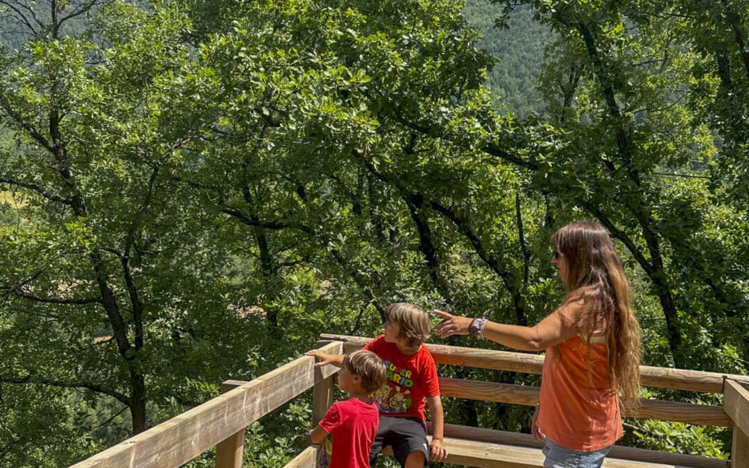 Qué hacer en Ordesa si no quieres o no puedes caminar