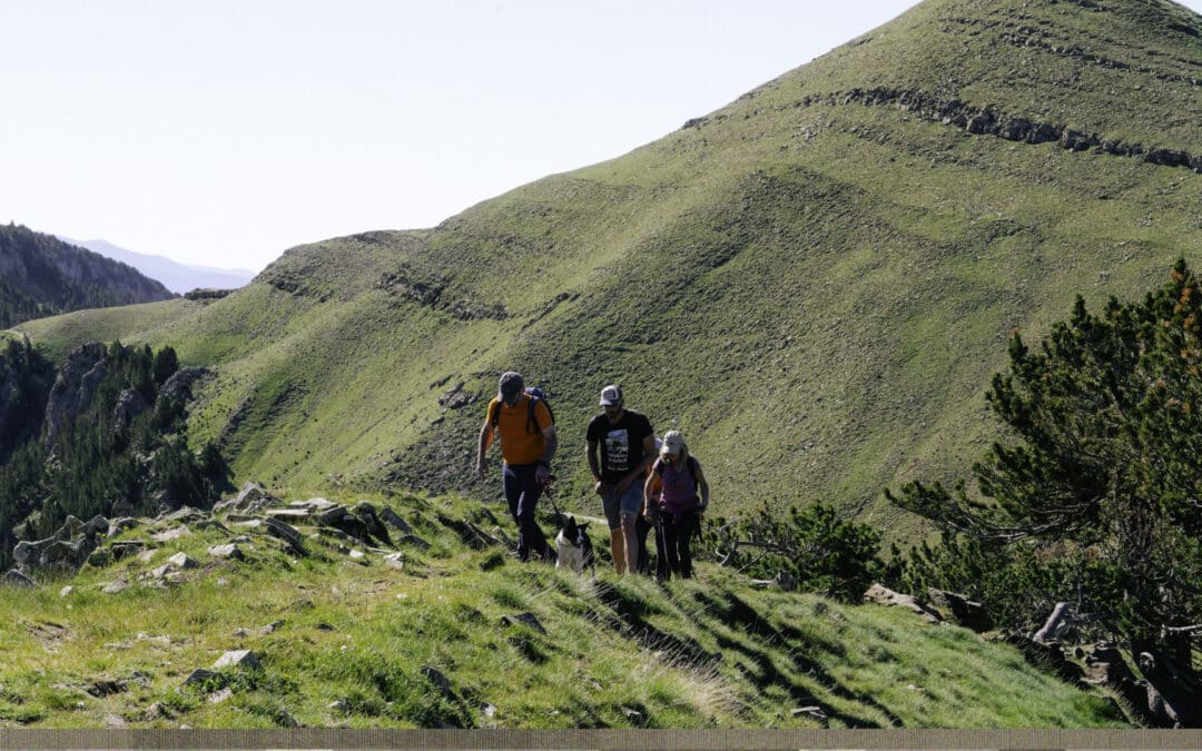 Qué hacer en Ordesa con perro. Guía completa para disfrutar del Pirineo con tu mascota