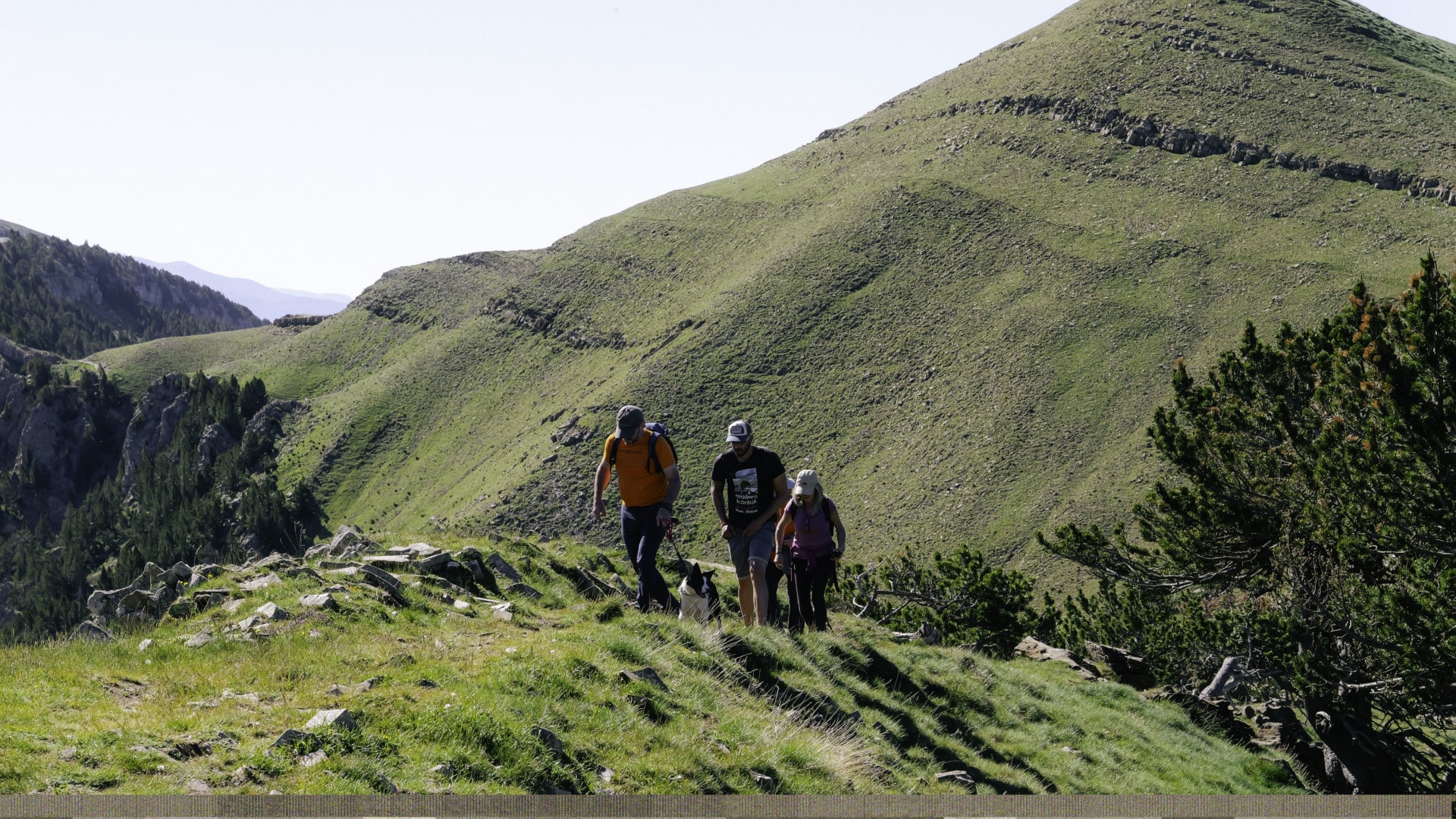 Qué hacer en Ordesa con perro. Guía completa para disfrutar del Pirineo con tu mascota